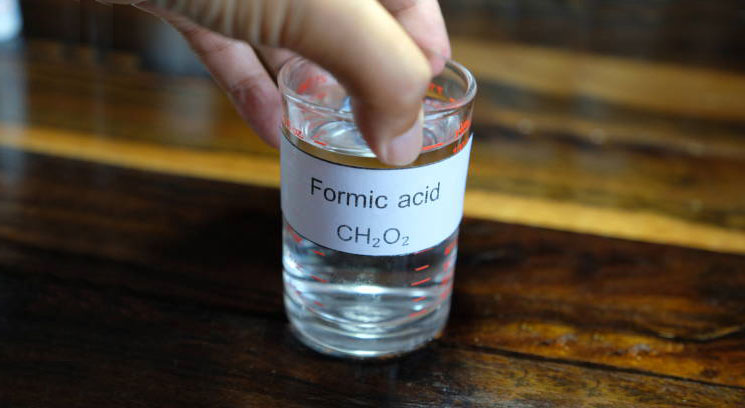 Formic Acid